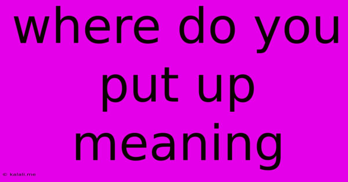 Where Do You Put Up Meaning