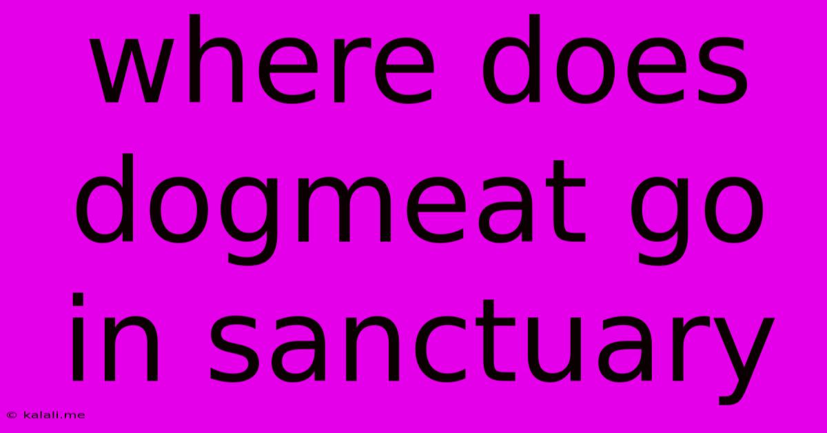 Where Does Dogmeat Go In Sanctuary