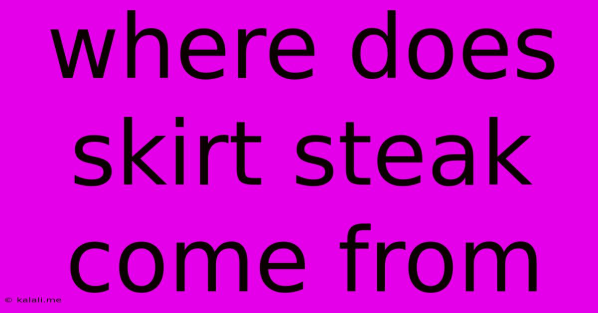 Where Does Skirt Steak Come From