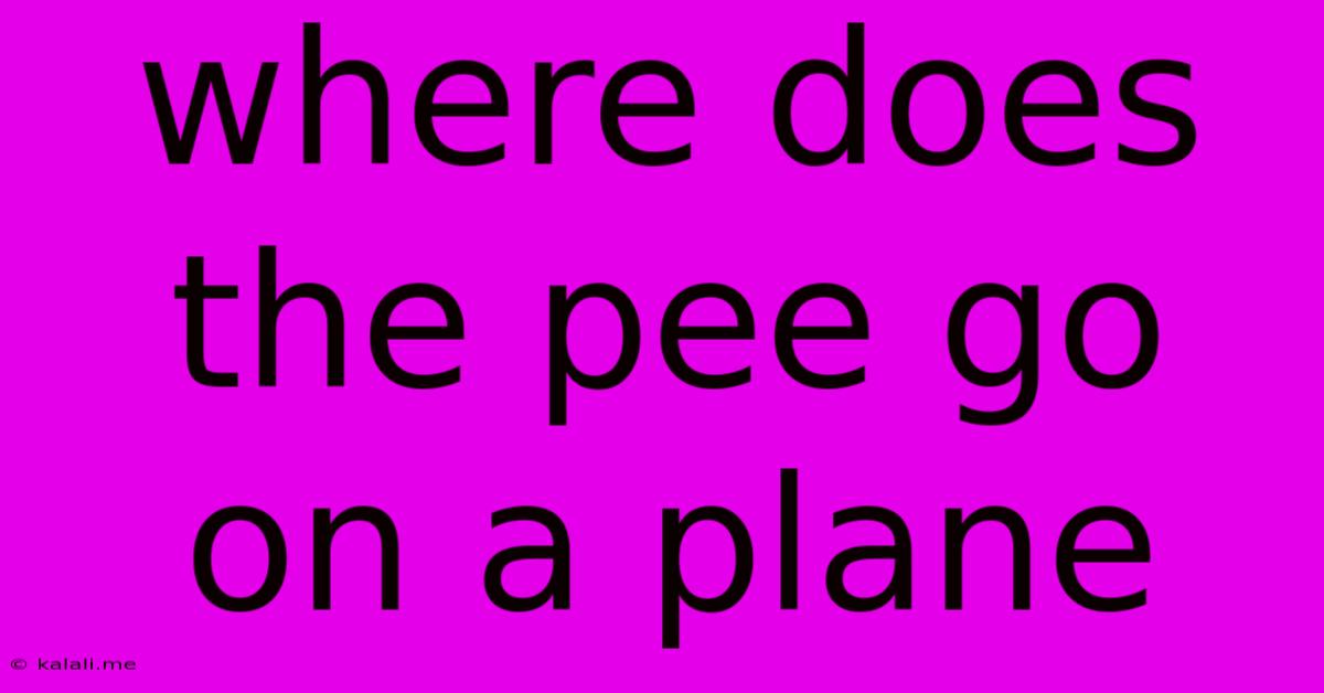 Where Does The Pee Go On A Plane