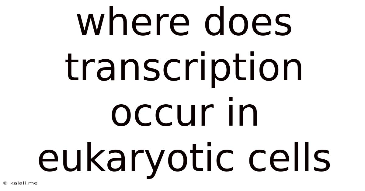 Where Does Transcription Occur In Eukaryotic Cells