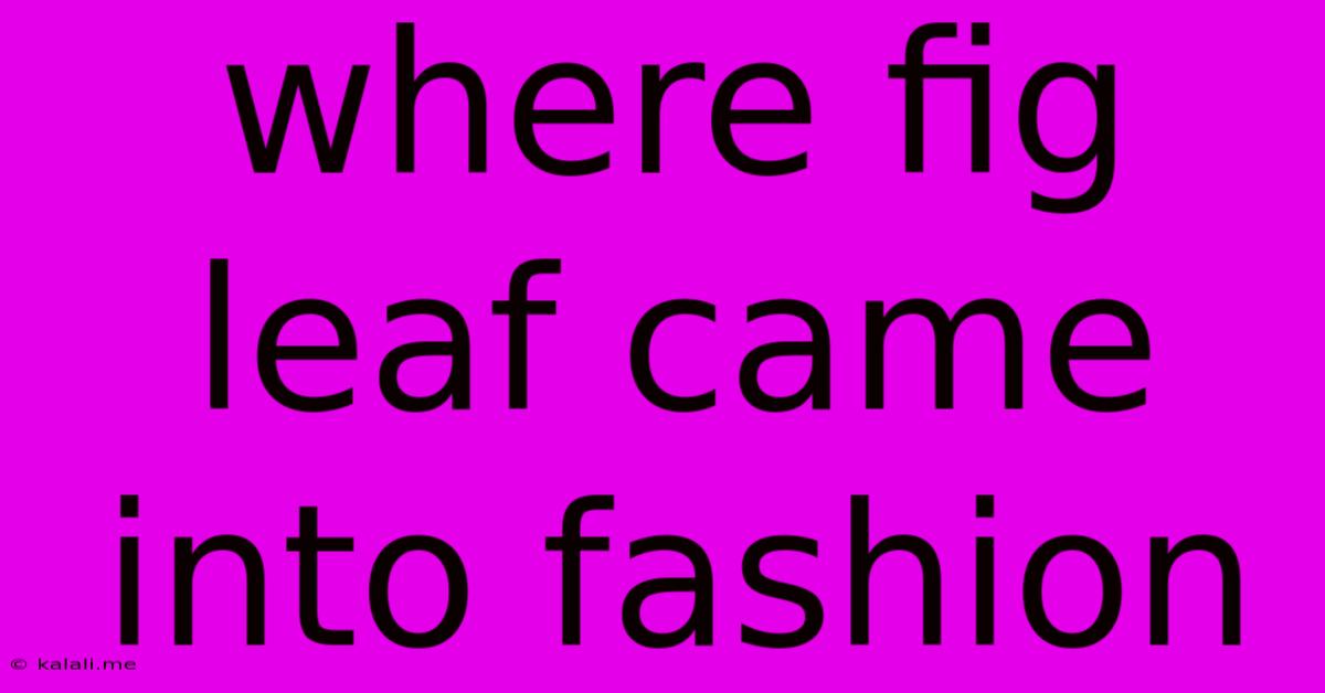 Where Fig Leaf Came Into Fashion