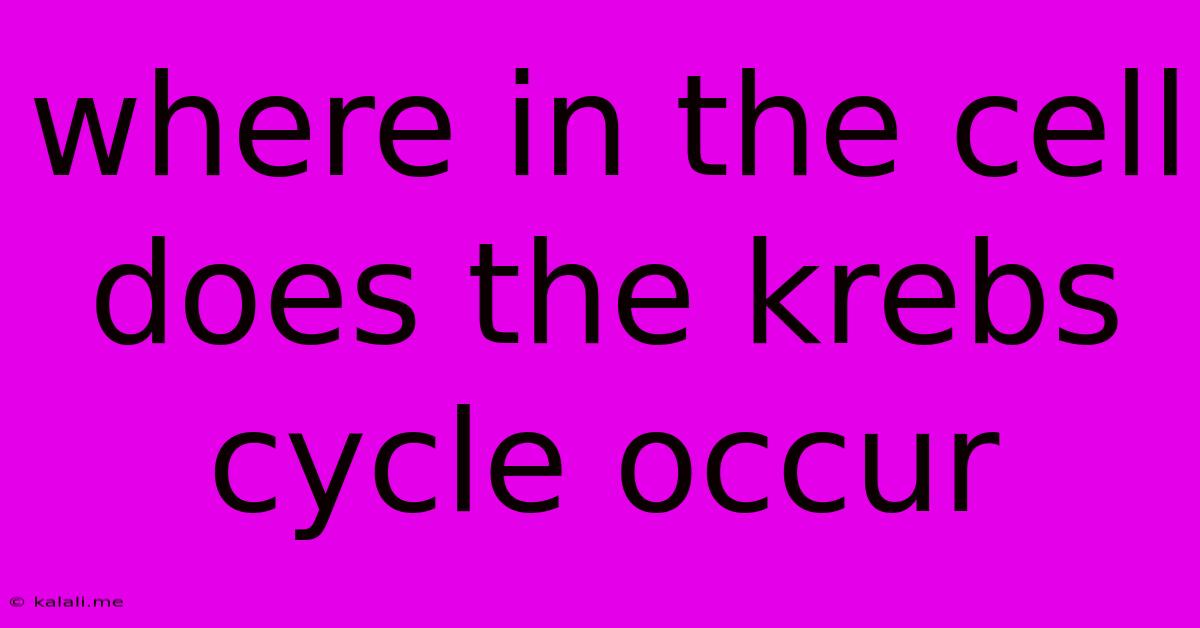 Where In The Cell Does The Krebs Cycle Occur