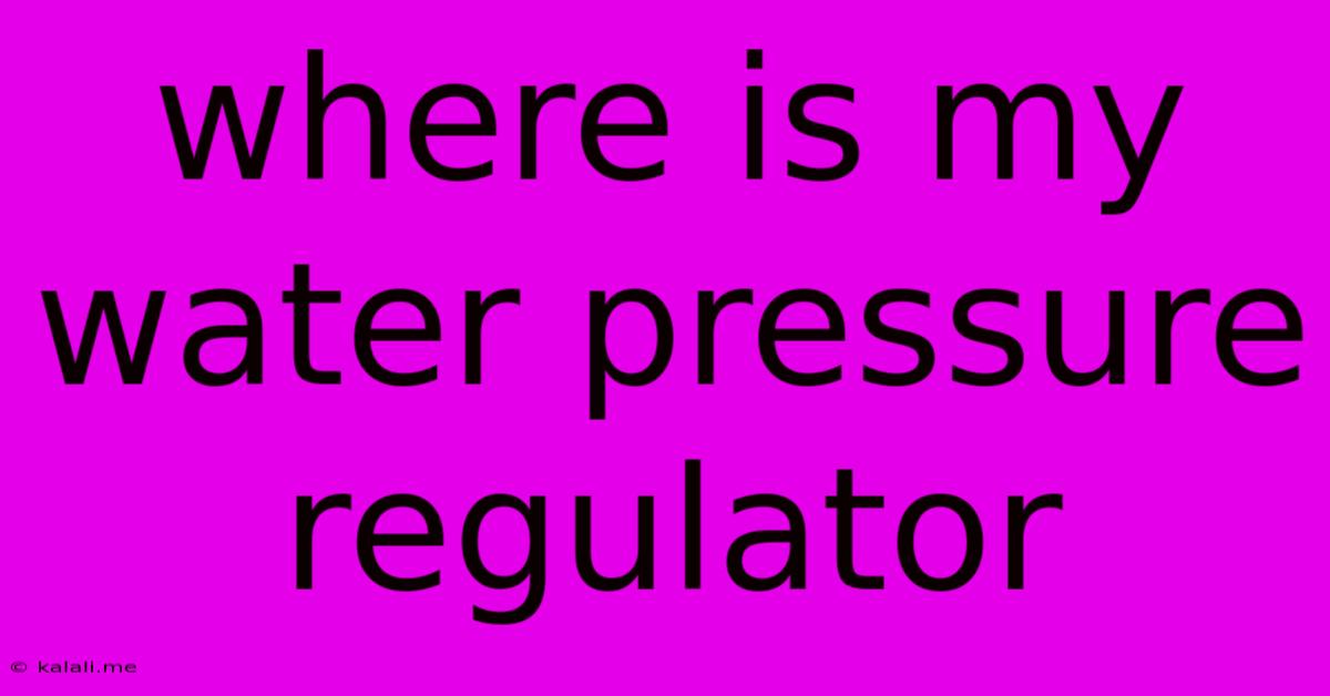 Where Is My Water Pressure Regulator
