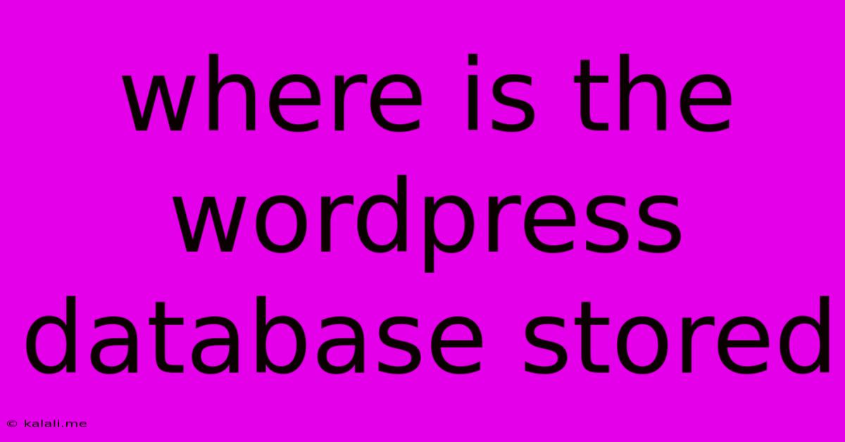 Where Is The Wordpress Database Stored