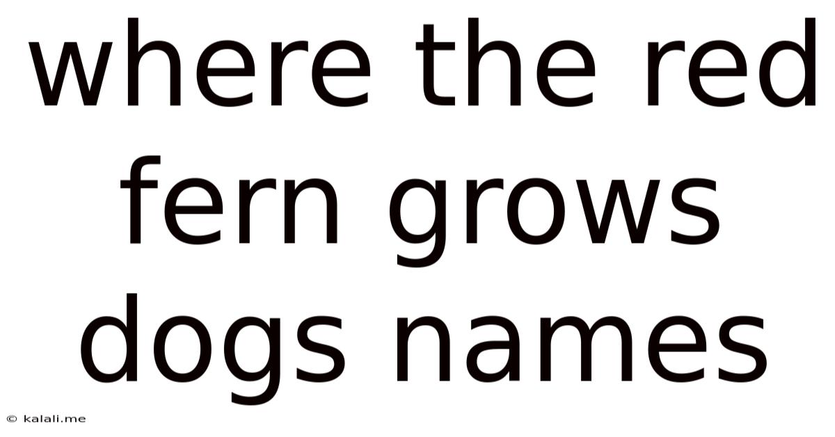 Where The Red Fern Grows Dogs Names