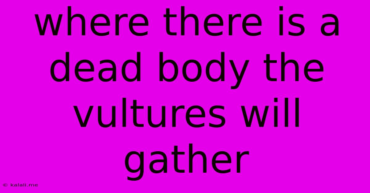 Where There Is A Dead Body The Vultures Will Gather
