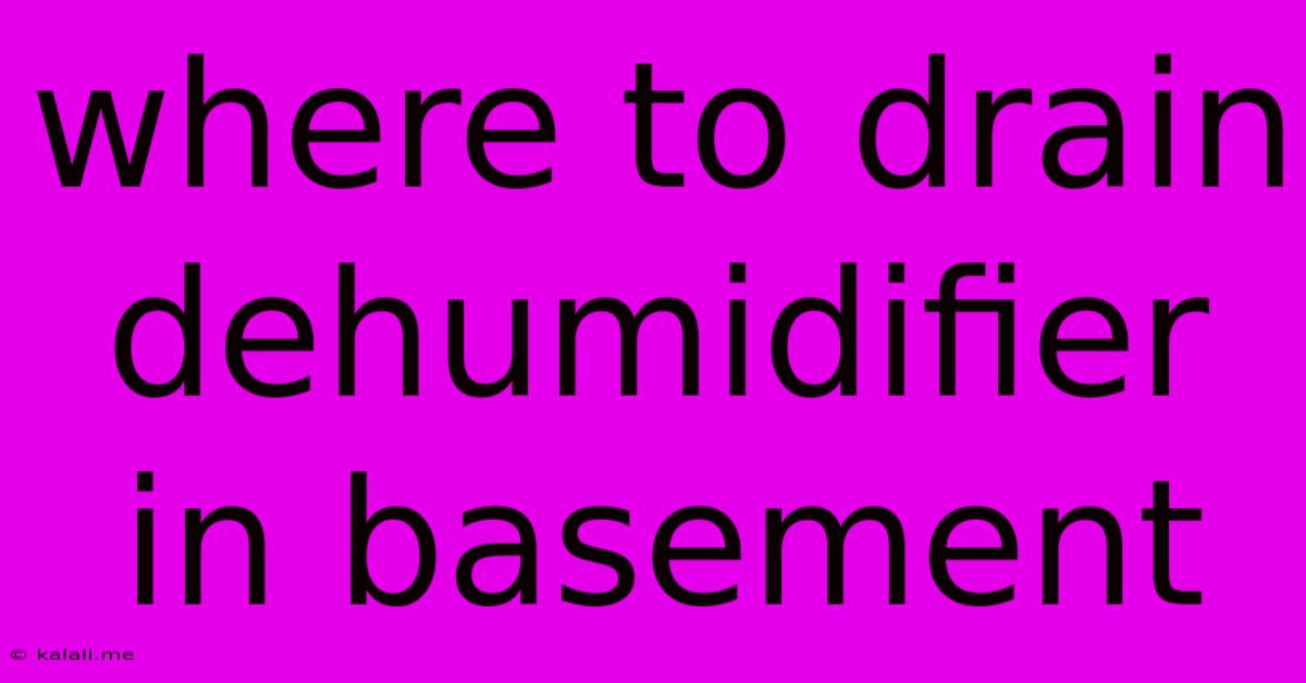 Where To Drain Dehumidifier In Basement
