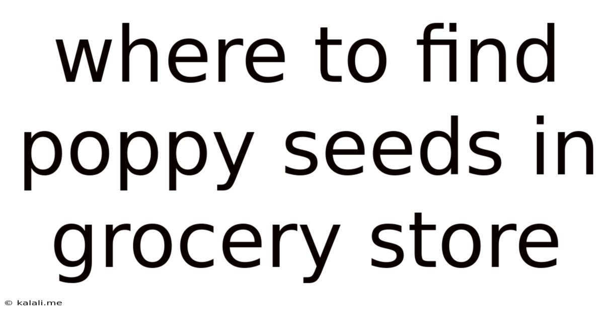 Where To Find Poppy Seeds In Grocery Store