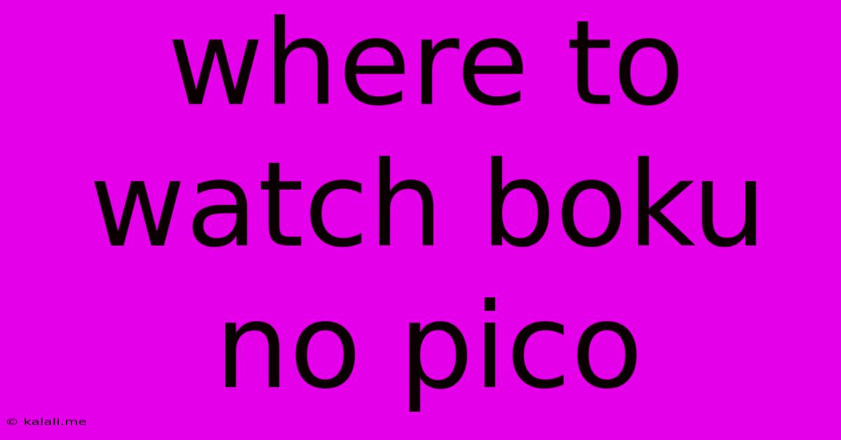 Where To Watch Boku No Pico