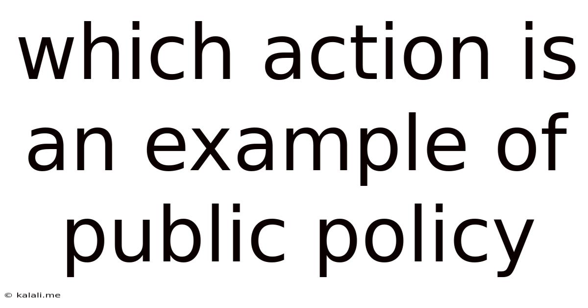 Which Action Is An Example Of Public Policy