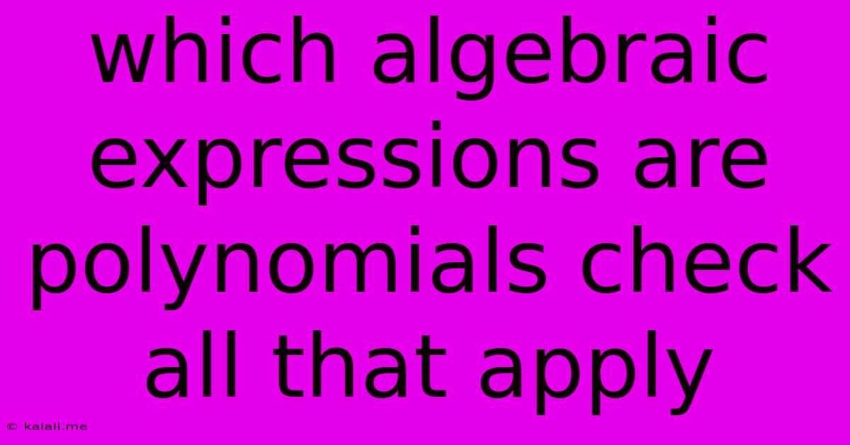 Which Algebraic Expressions Are Polynomials Check All That Apply