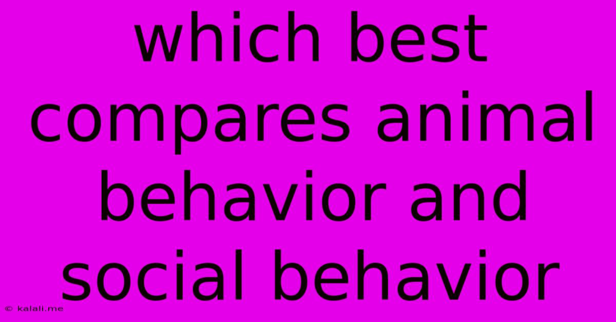 Which Best Compares Animal Behavior And Social Behavior