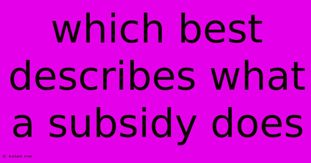 Which Best Describes What A Subsidy Does
