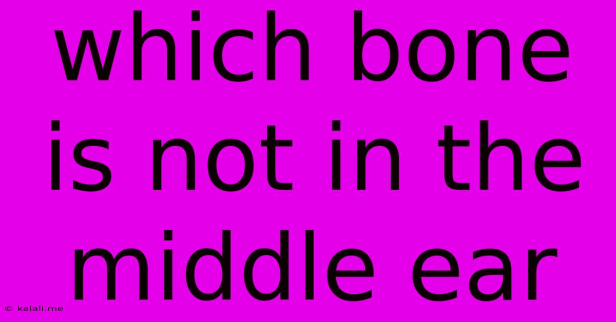 Which Bone Is Not In The Middle Ear