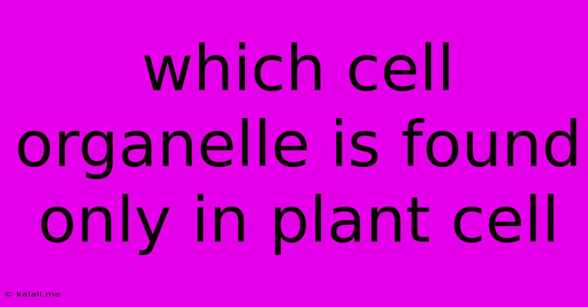 Which Cell Organelle Is Found Only In Plant Cell