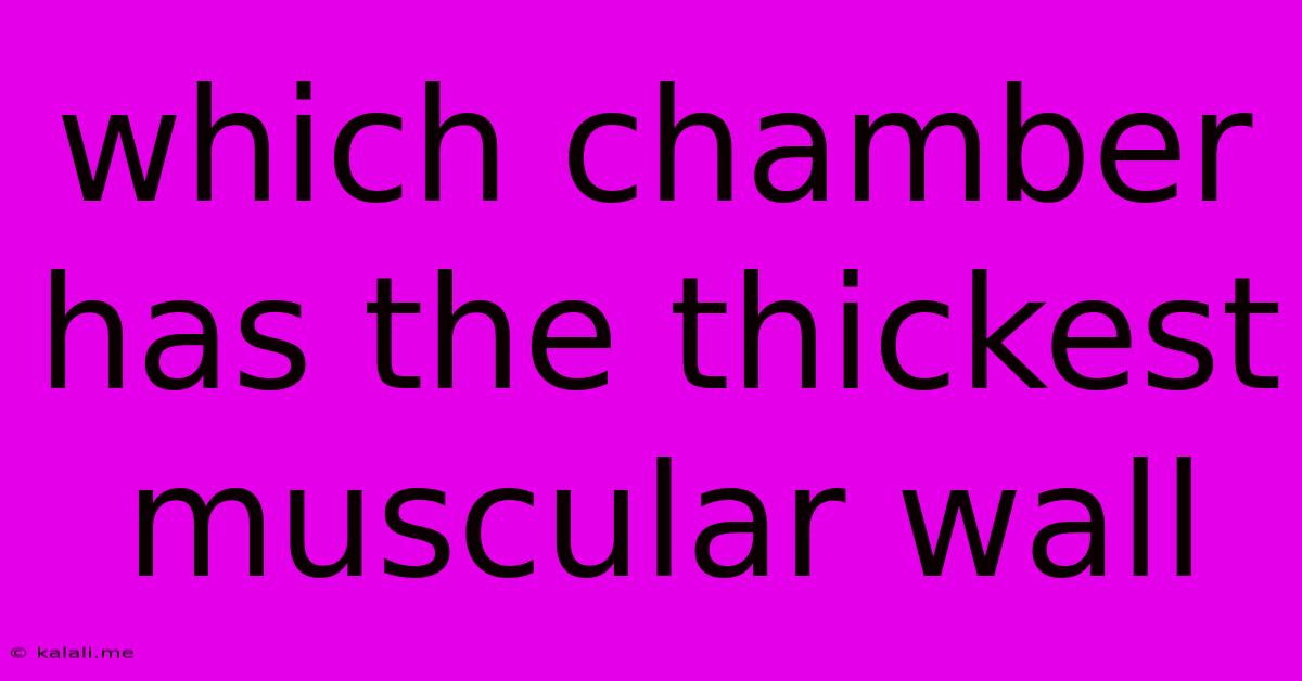 Which Chamber Has The Thickest Muscular Wall