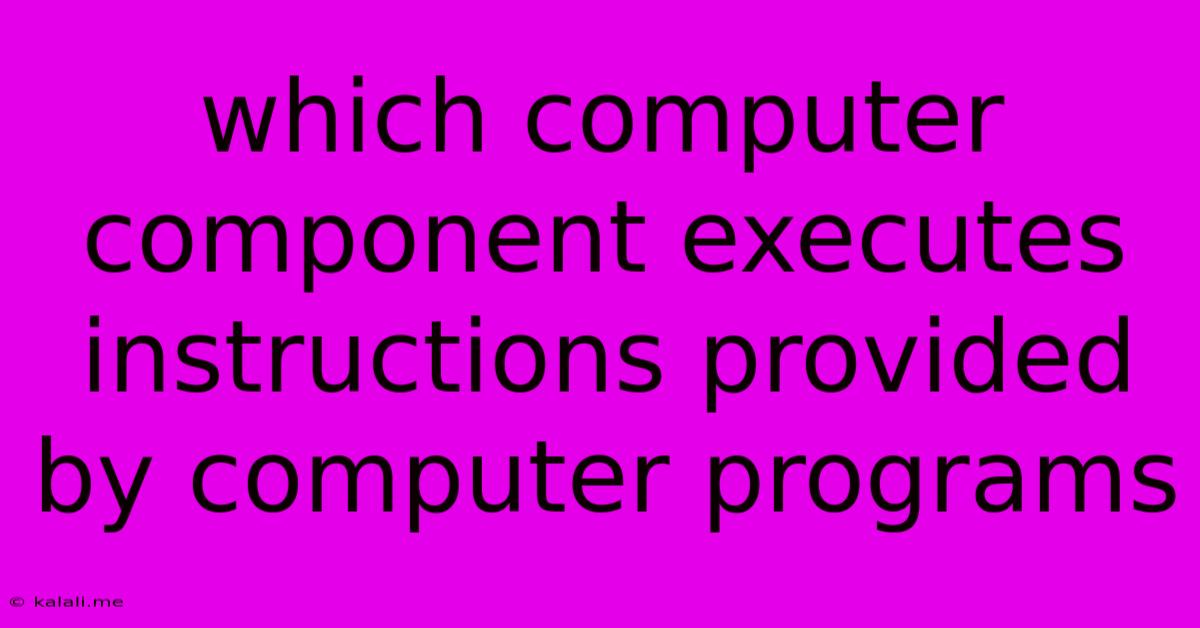 Which Computer Component Executes Instructions Provided By Computer Programs