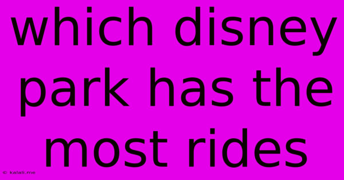 Which Disney Park Has The Most Rides