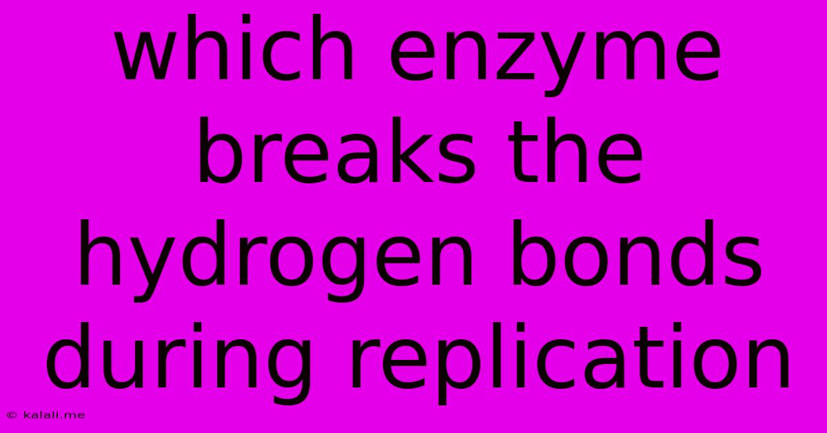 Which Enzyme Breaks The Hydrogen Bonds During Replication