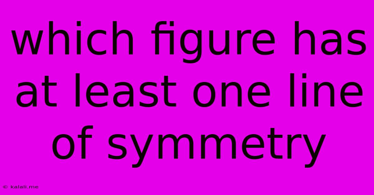 Which Figure Has At Least One Line Of Symmetry