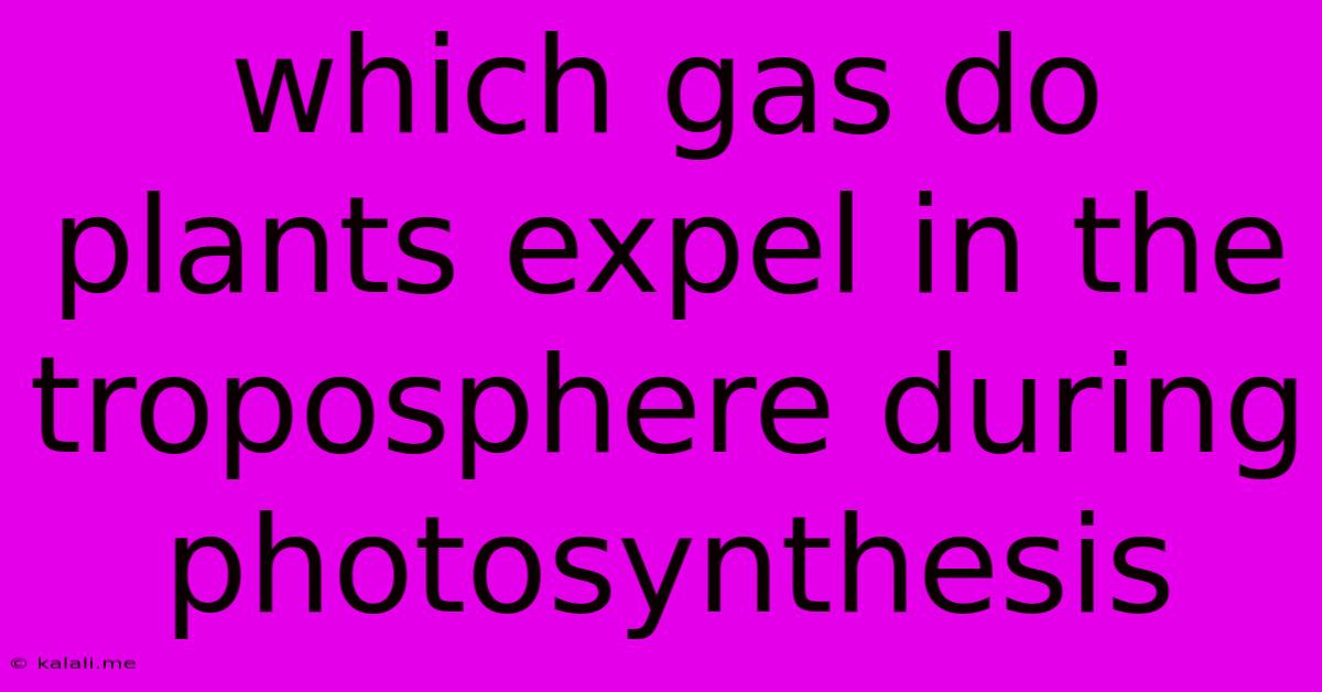 Which Gas Do Plants Expel In The Troposphere During Photosynthesis
