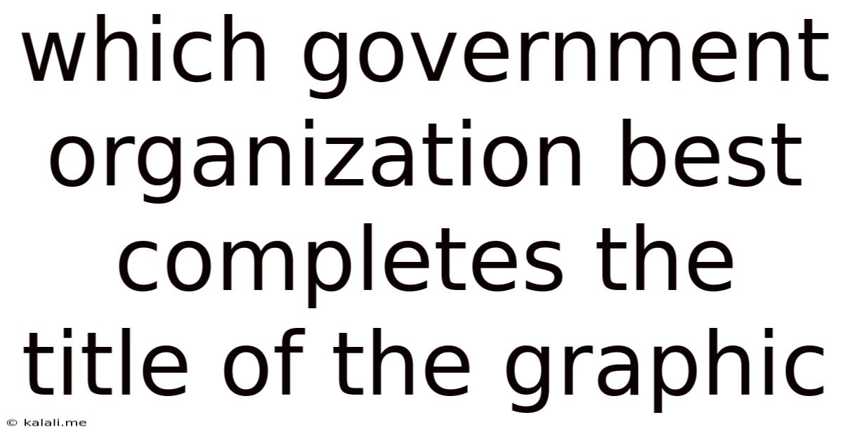 Which Government Organization Best Completes The Title Of The Graphic
