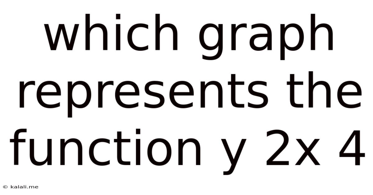Which Graph Represents The Function Y 2x 4