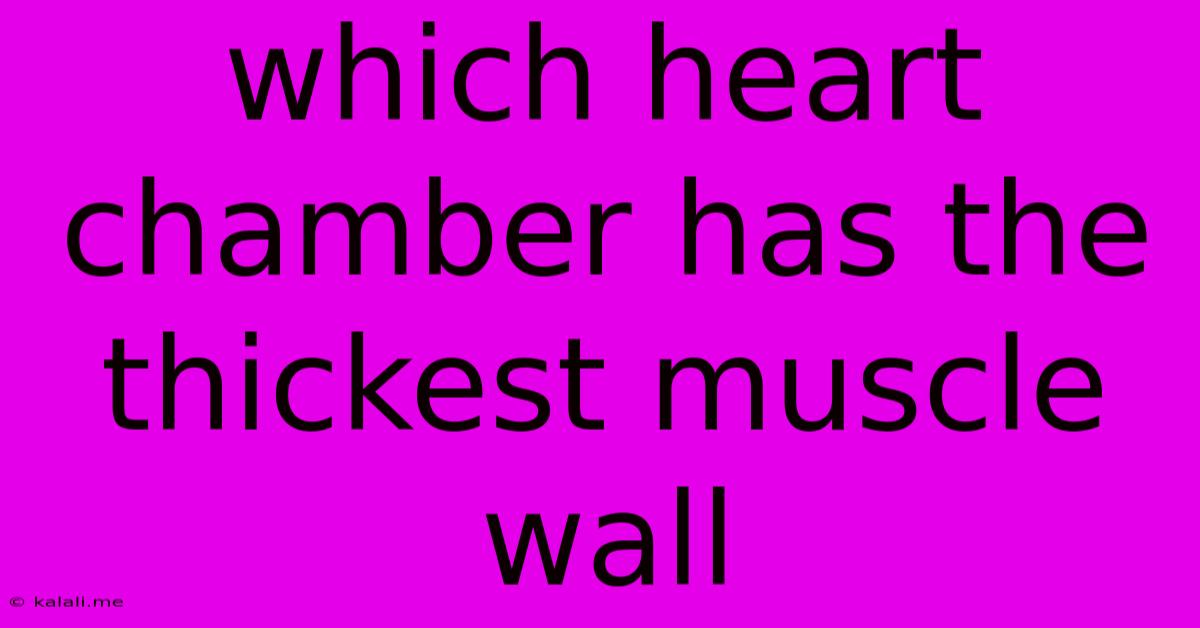 Which Heart Chamber Has The Thickest Muscle Wall