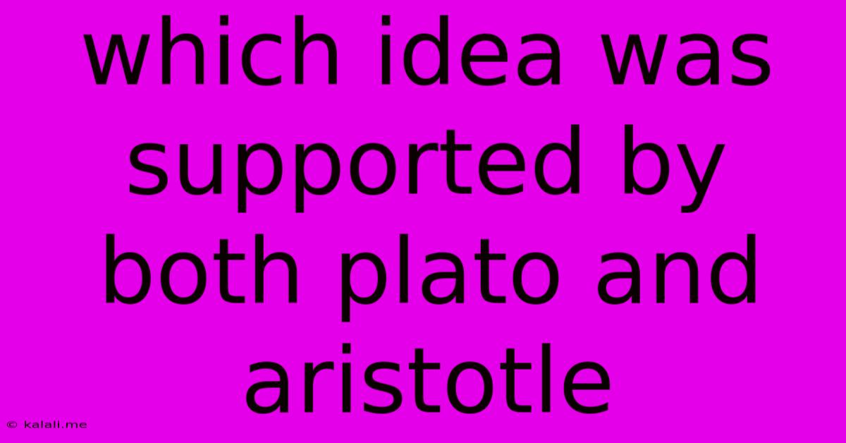Which Idea Was Supported By Both Plato And Aristotle