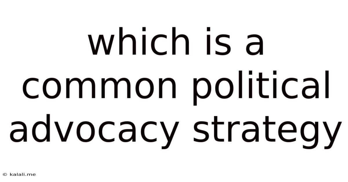 Which Is A Common Political Advocacy Strategy