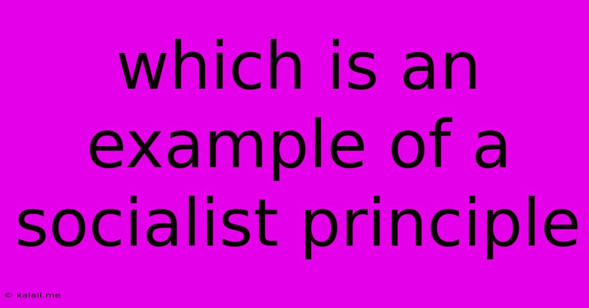 Which Is An Example Of A Socialist Principle