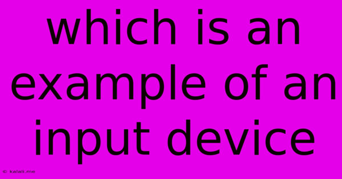 Which Is An Example Of An Input Device