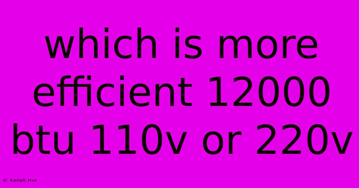 Which Is More Efficient 12000 Btu 110v Or 220v