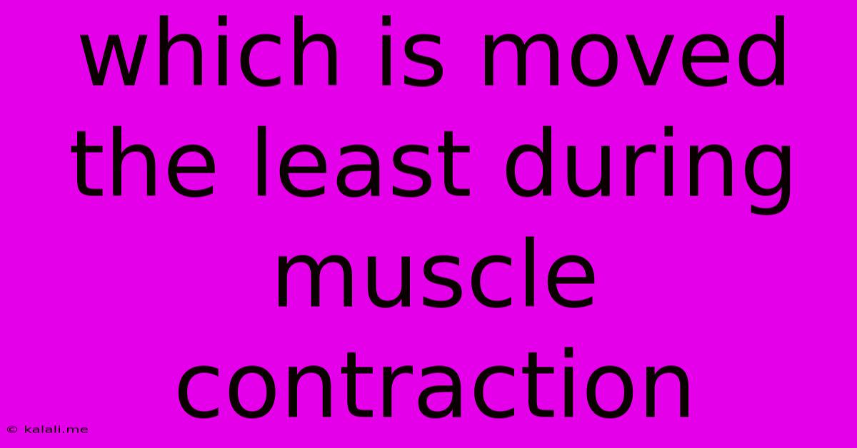 Which Is Moved The Least During Muscle Contraction