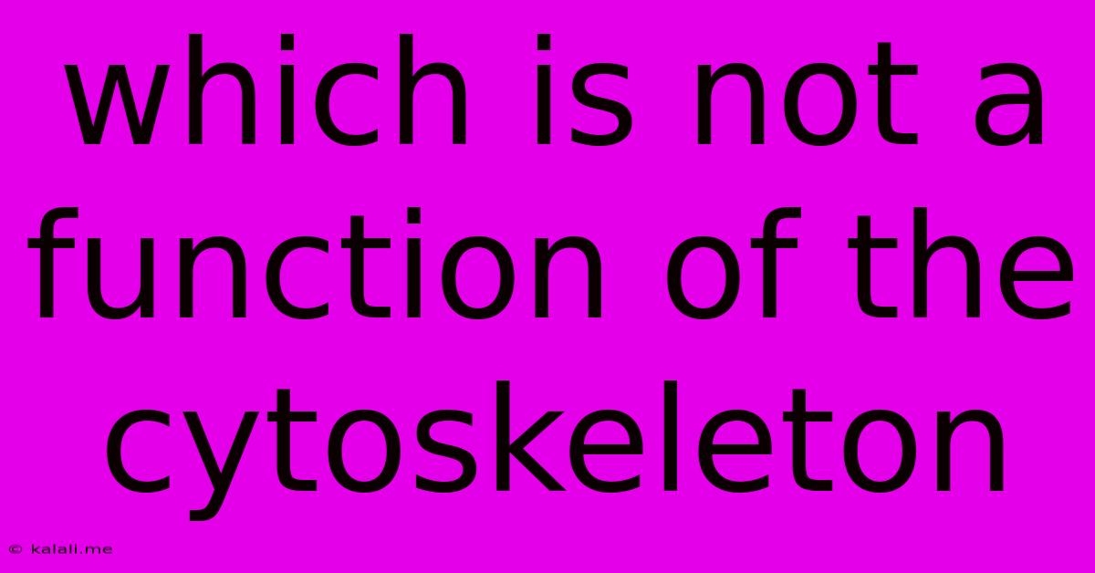 Which Is Not A Function Of The Cytoskeleton
