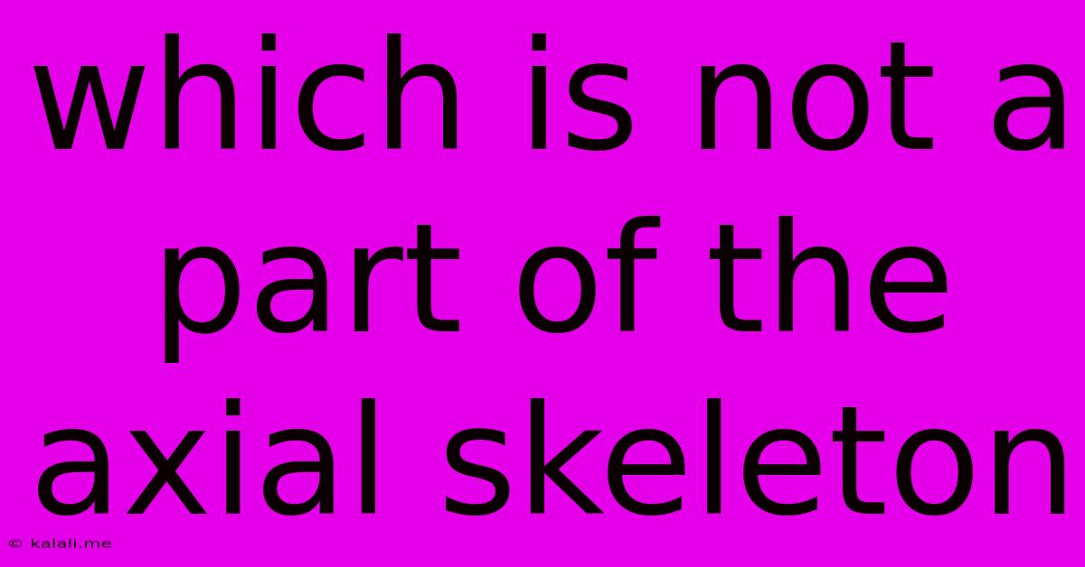Which Is Not A Part Of The Axial Skeleton