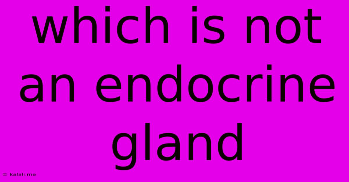 Which Is Not An Endocrine Gland
