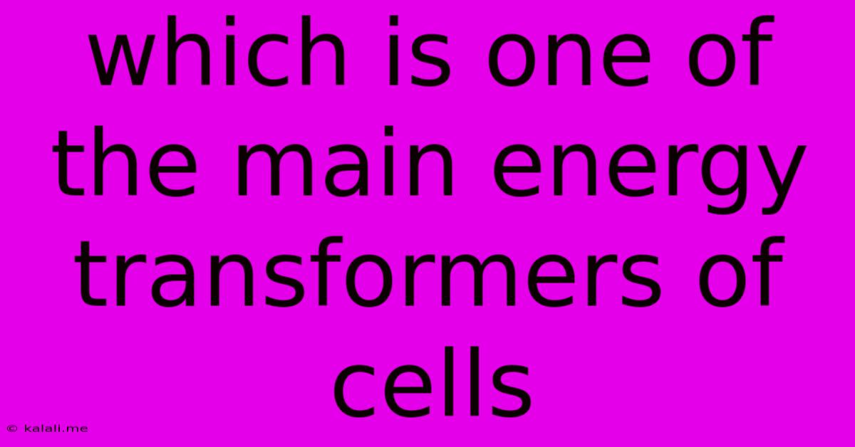 Which Is One Of The Main Energy Transformers Of Cells