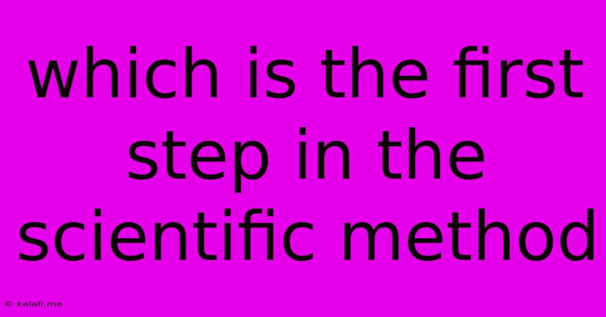 Which Is The First Step In The Scientific Method