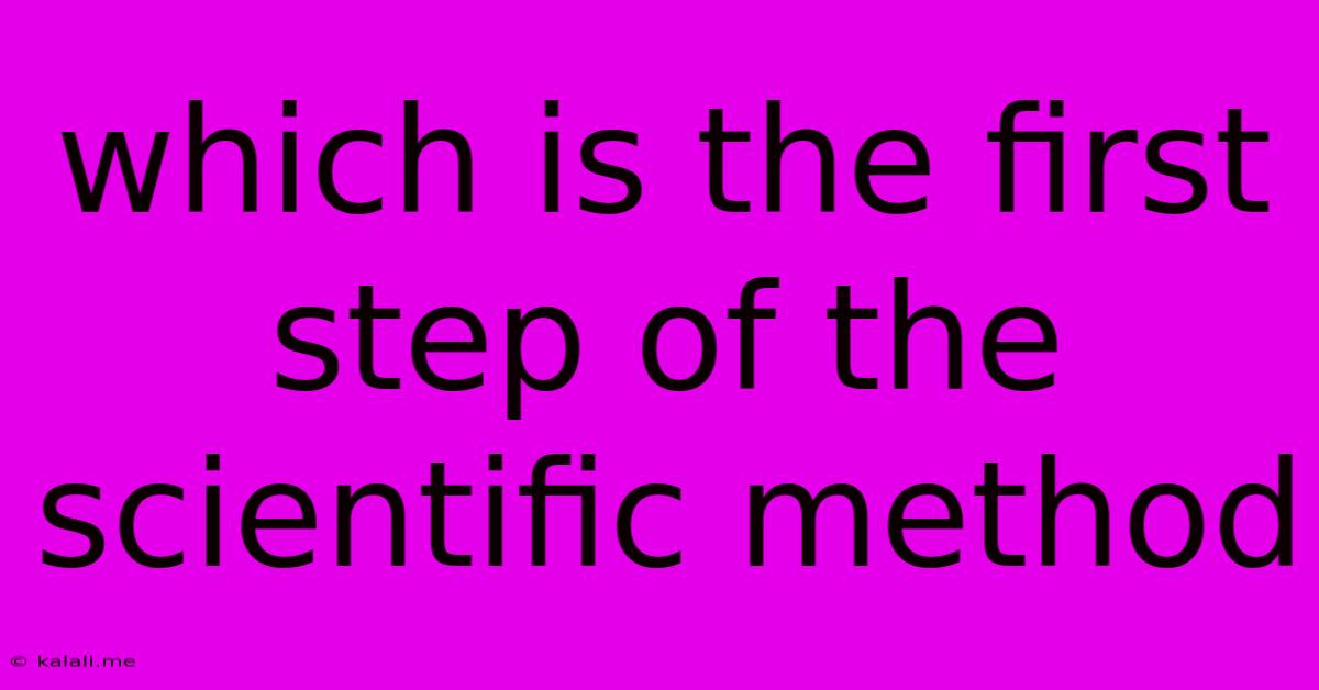 Which Is The First Step Of The Scientific Method