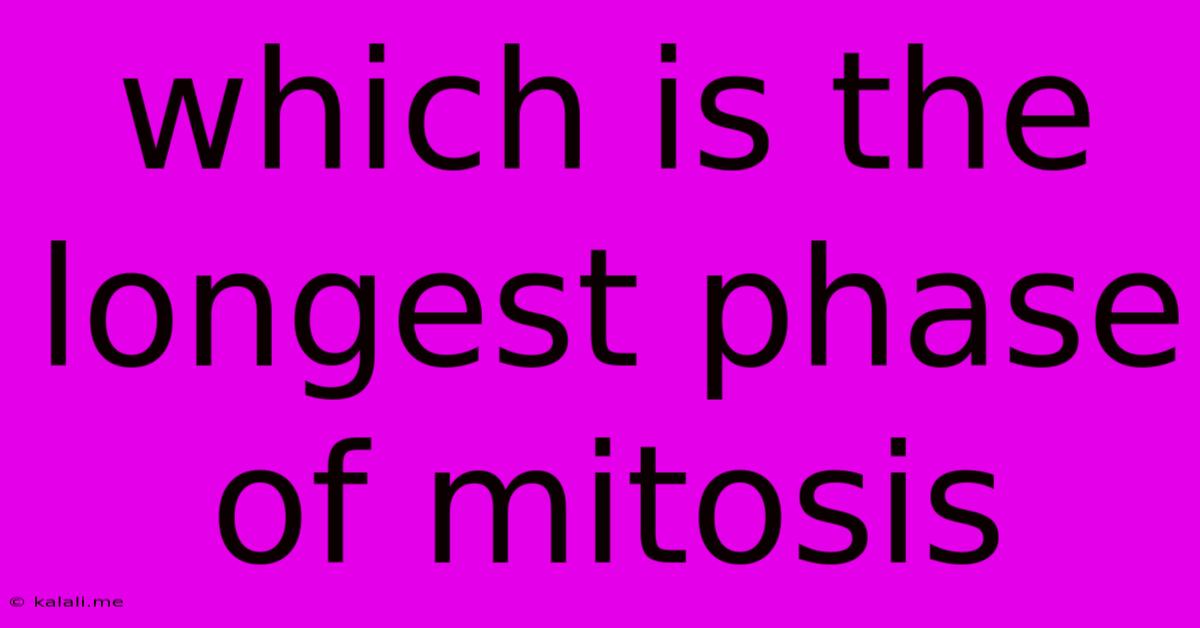 Which Is The Longest Phase Of Mitosis