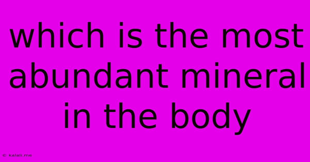 Which Is The Most Abundant Mineral In The Body