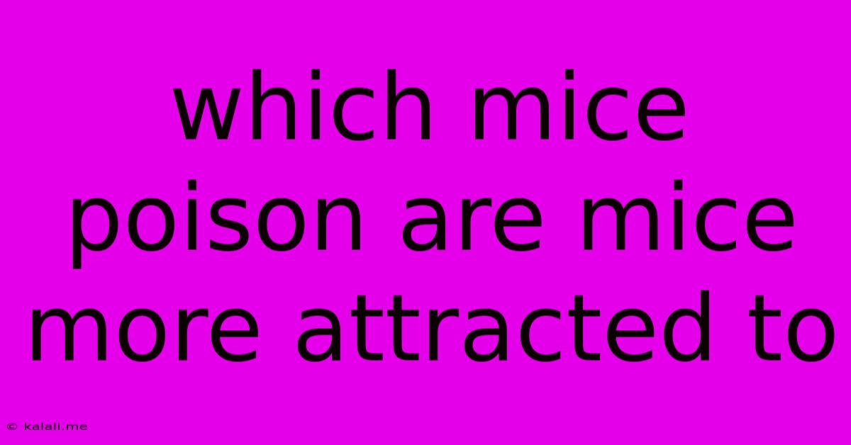 Which Mice Poison Are Mice More Attracted To