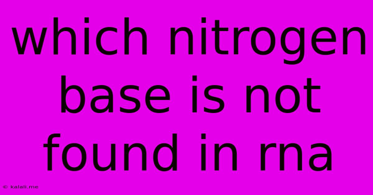 Which Nitrogen Base Is Not Found In Rna