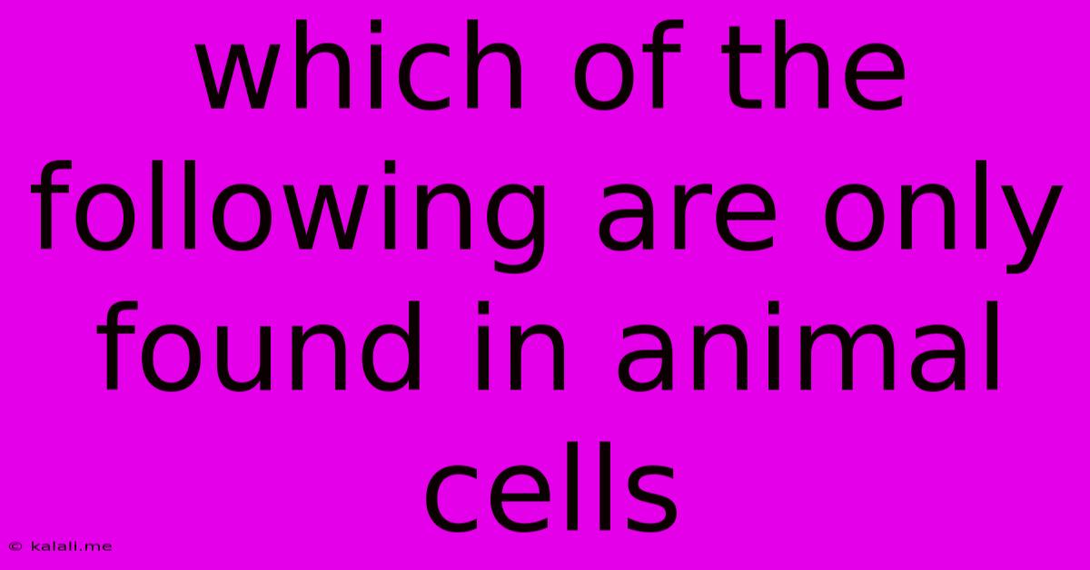Which Of The Following Are Only Found In Animal Cells