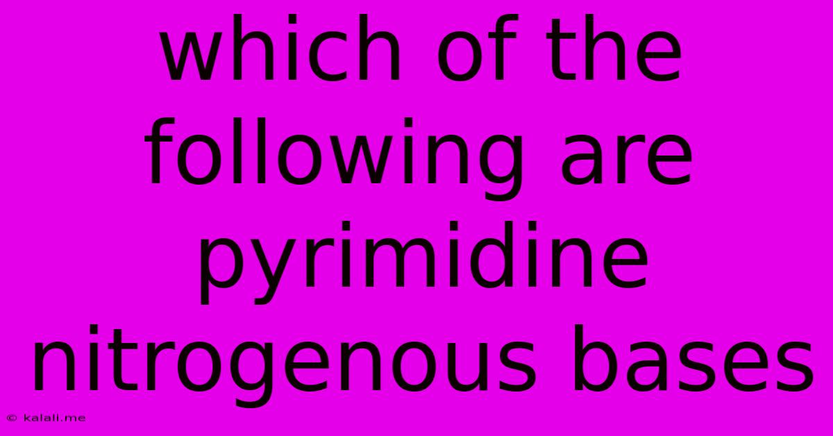 Which Of The Following Are Pyrimidine Nitrogenous Bases
