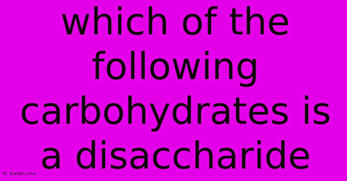 Which Of The Following Carbohydrates Is A Disaccharide