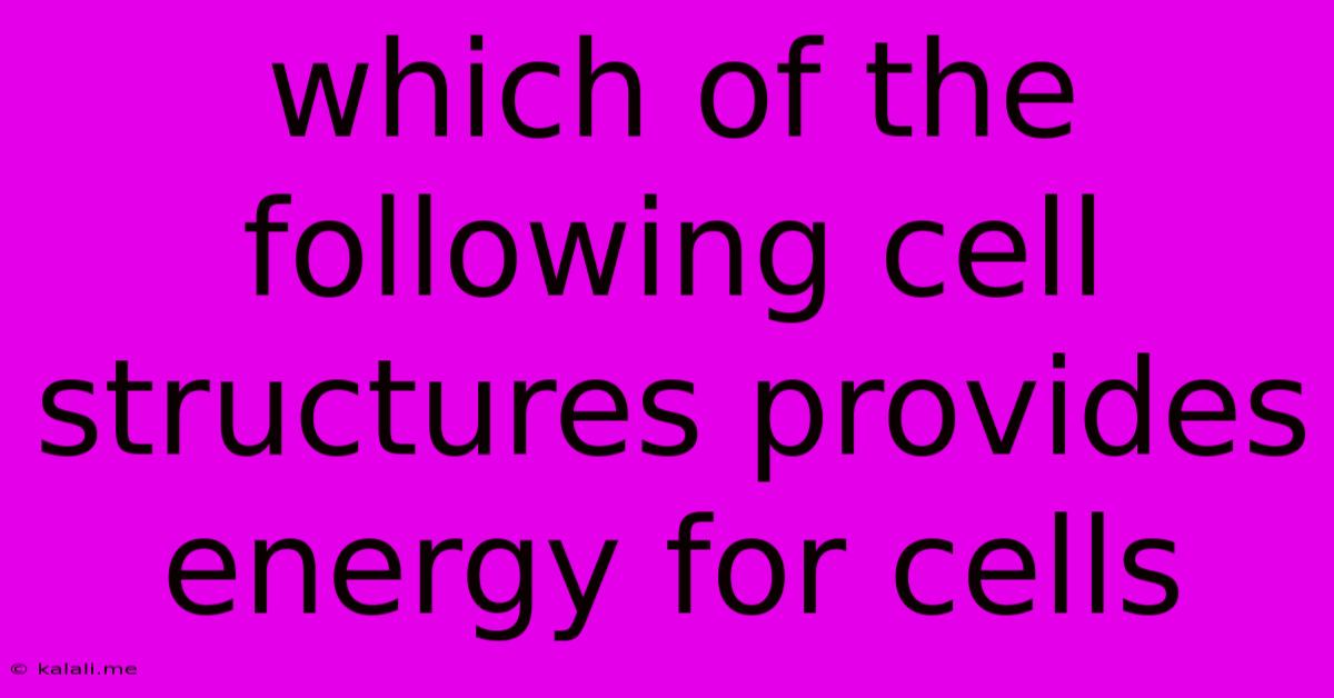 Which Of The Following Cell Structures Provides Energy For Cells
