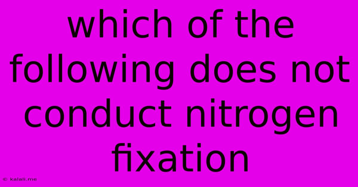 Which Of The Following Does Not Conduct Nitrogen Fixation